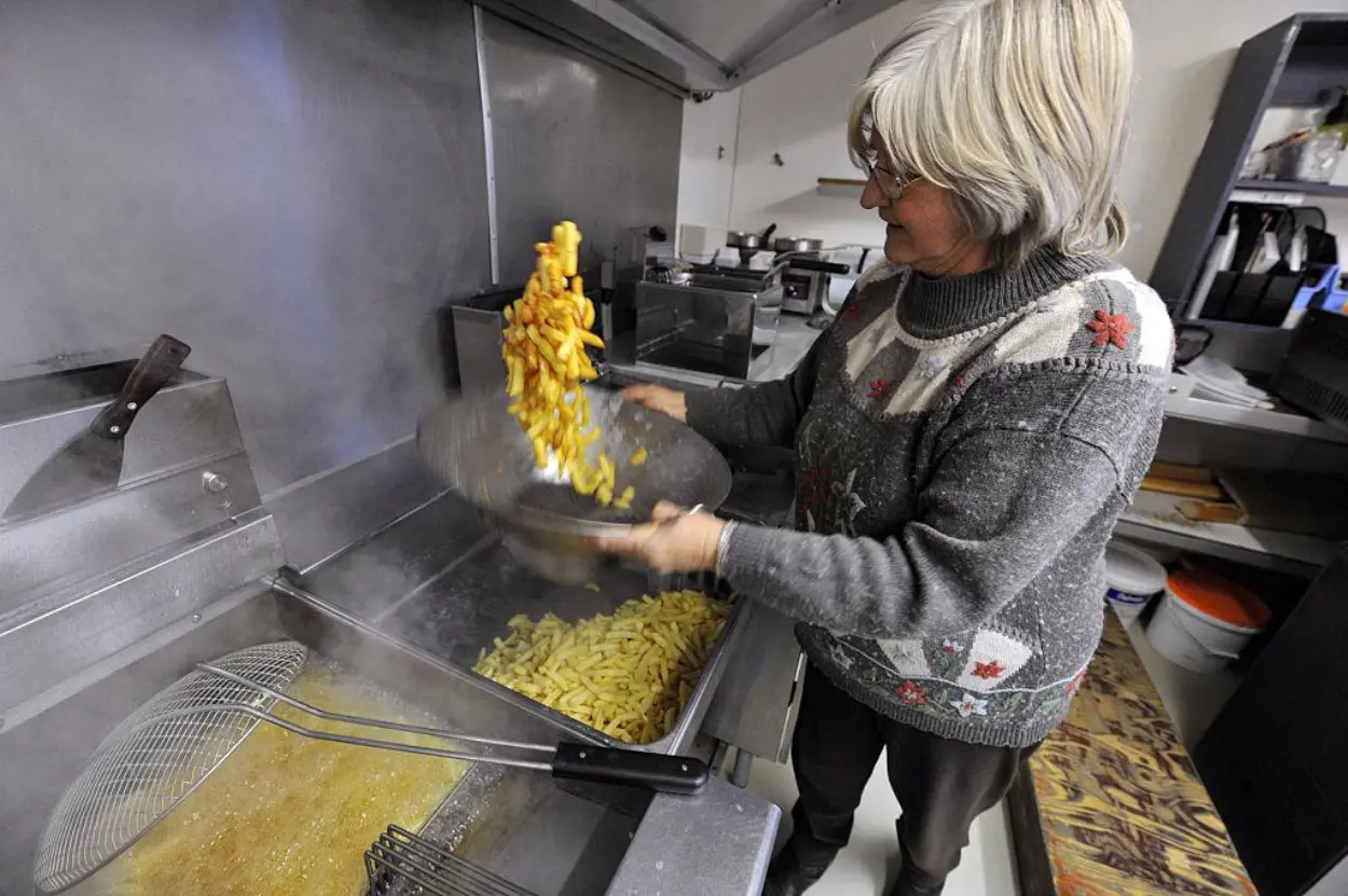 Vlaamse Frites